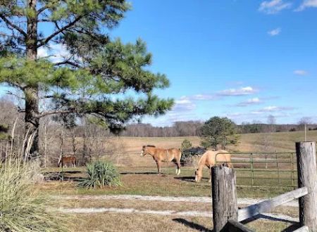 Country Livin RV Park