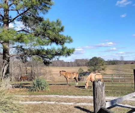 Country Livin RV Park
