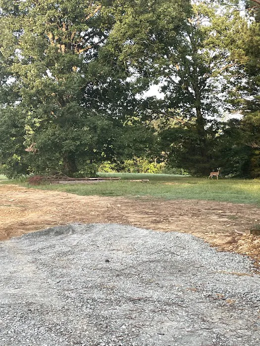Country Livin RV Park Picture 4