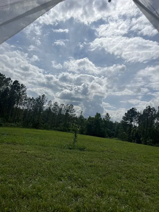 Country Livin RV Park Picture 5