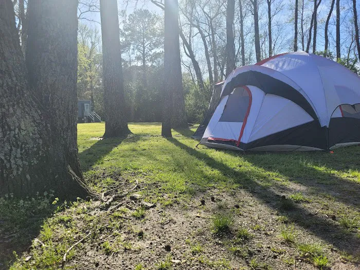 Swamp Fox Campground Picture 5
