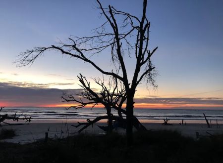 Capers Island Heritage Preserve