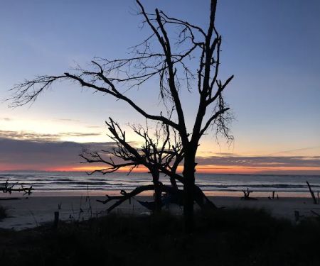 Capers Island Heritage Preserve