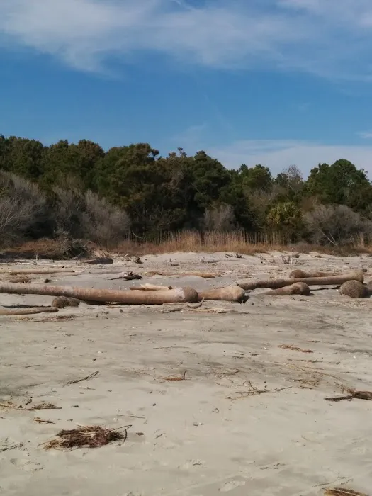 Capers Island Heritage Preserve Picture 5