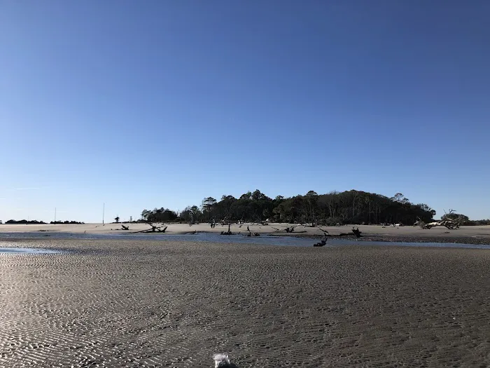 Capers Island Heritage Preserve Picture 8