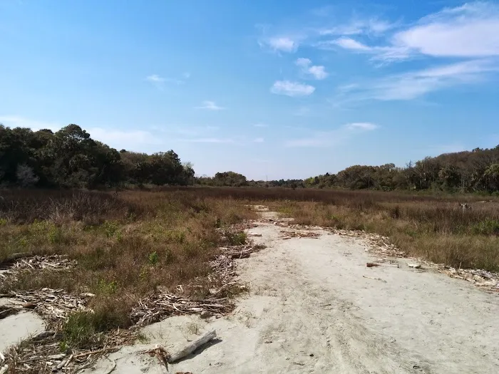 Capers Island Heritage Preserve Picture 10