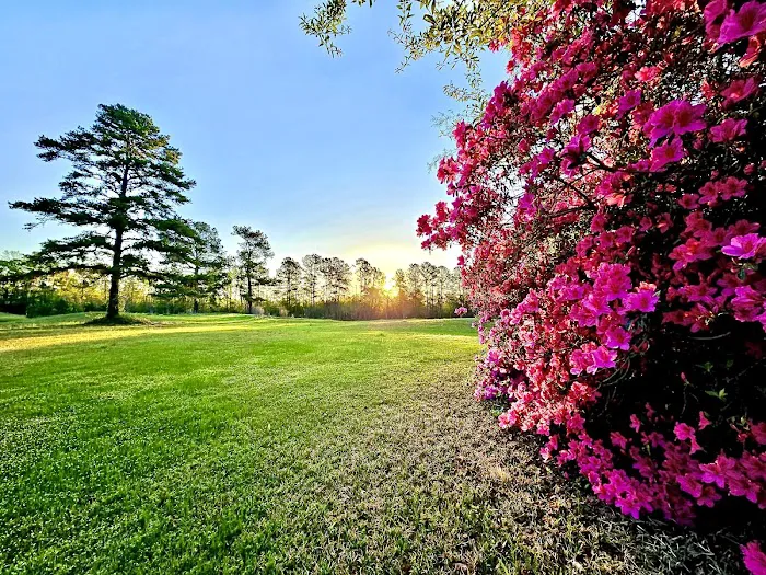 Elysian Fields Park Picture 8