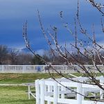 Marion County Fairgrounds RV Park