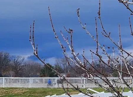 Marion County Fairgrounds RV Park