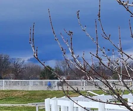 Marion County Fairgrounds RV Park