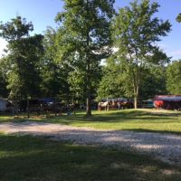 Come Again Horse Camp ico