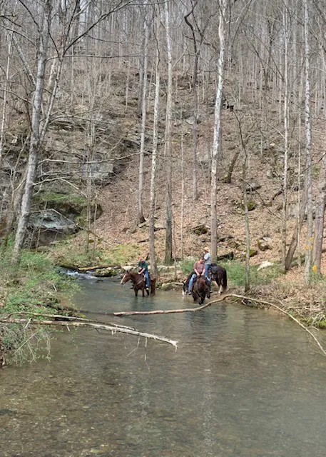 Come Again Horse Camp Picture 2