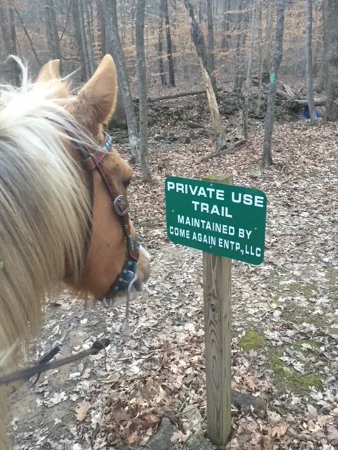 Come Again Horse Camp Picture 7
