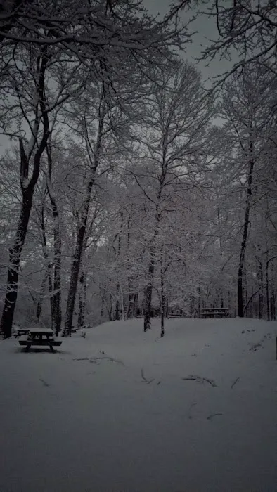 Old Mill Blue River Retreat- Primitive Camping Picture 1