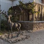 Stag Run Club