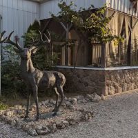Stag Run Club ico