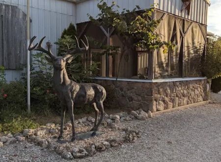 Stag Run Club