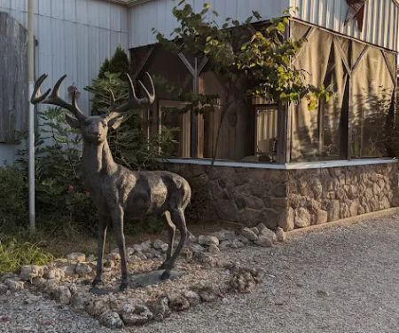Stag Run Club