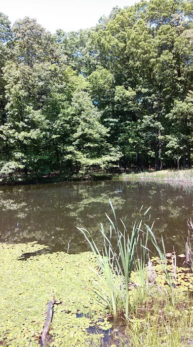 White Oak Loop Picture 3
