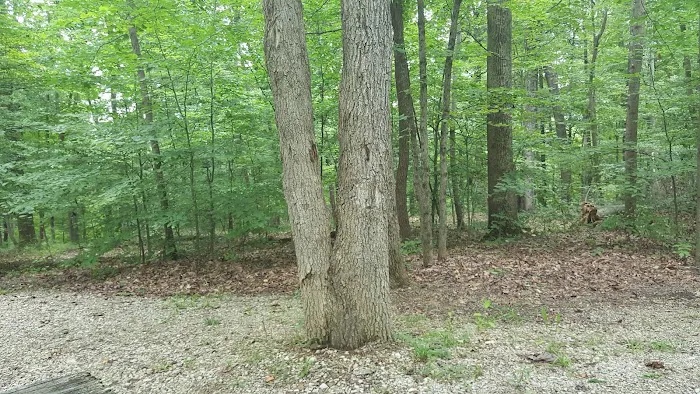 White Oak Loop Picture 5