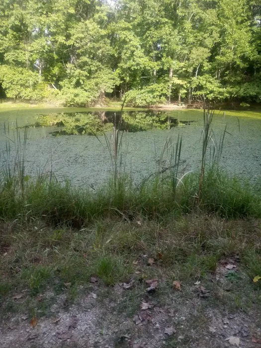 White Oak Loop Picture 10