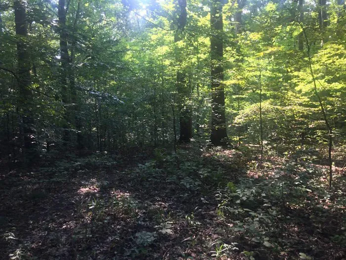 Scout Ridge Youth Campground Picture 10