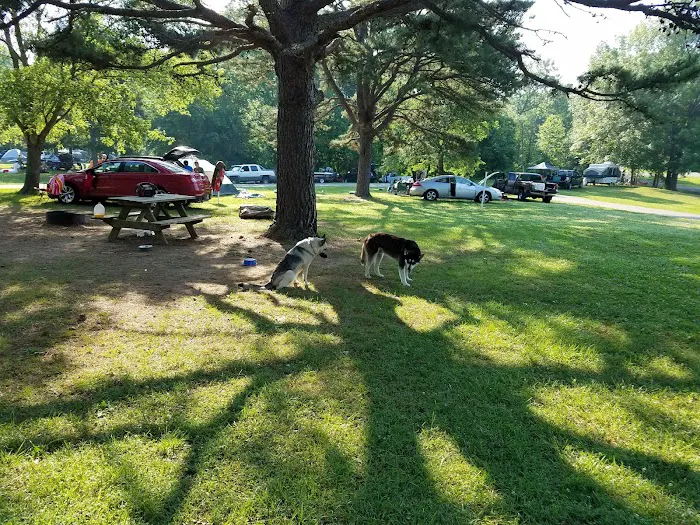 Paynetown Campground Picture 4