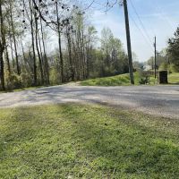 Twin Pines ico
