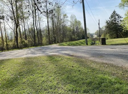 Twin Pines