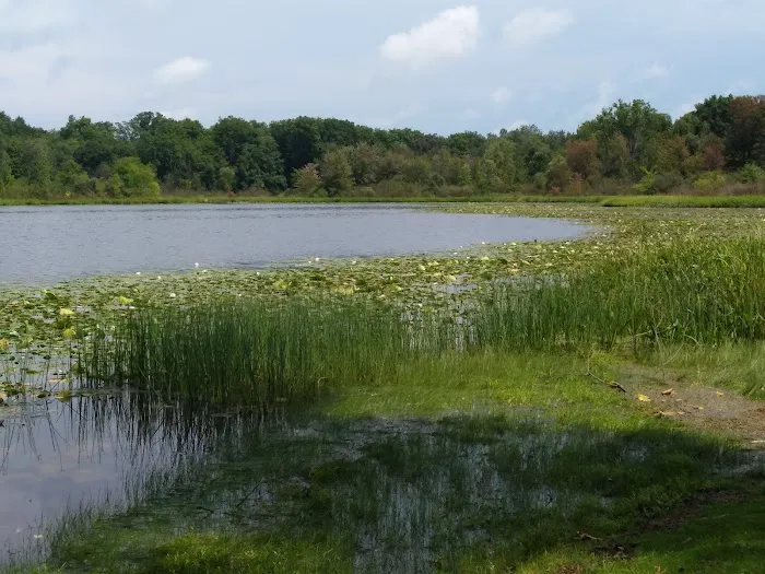 First Lake Park Picture 9