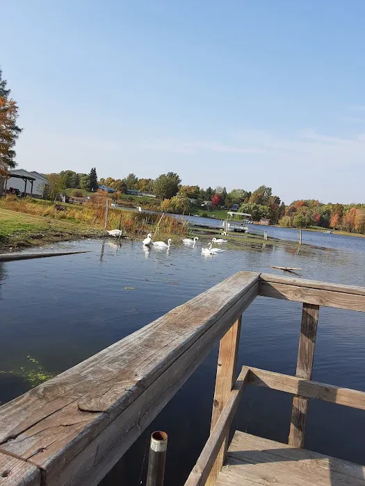 Belvidere Township Park Picture 5