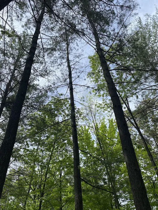 Calhoun Campground Picture 4