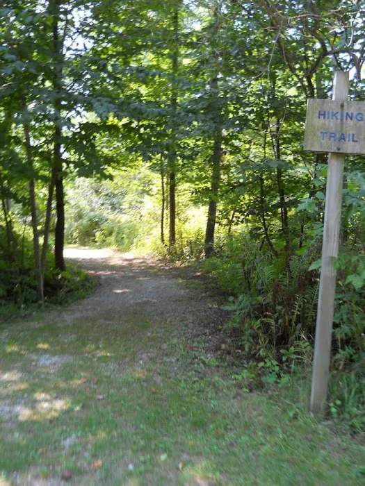 Wagener County Park Picture 2