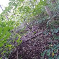 Redbud Trail Retreat ico