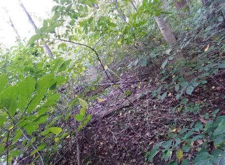 Redbud Trail Retreat