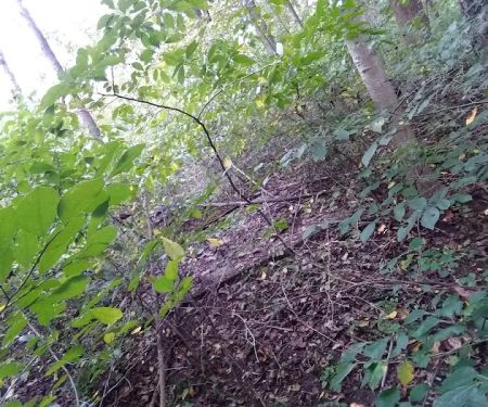 Redbud Trail Retreat