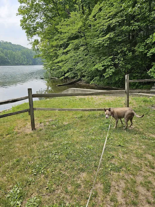Bear Cave Camping Resort Picture 8