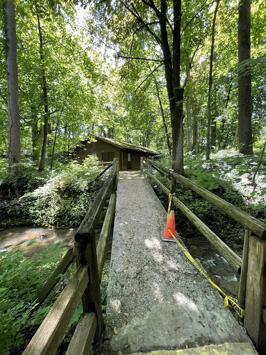 Bear Cave Camping Resort Picture 6