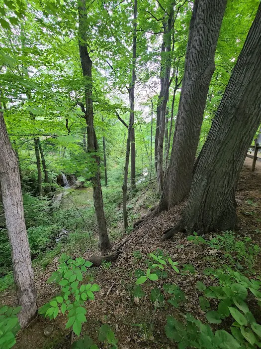 Thousand Trails Bear Cave Picture 8