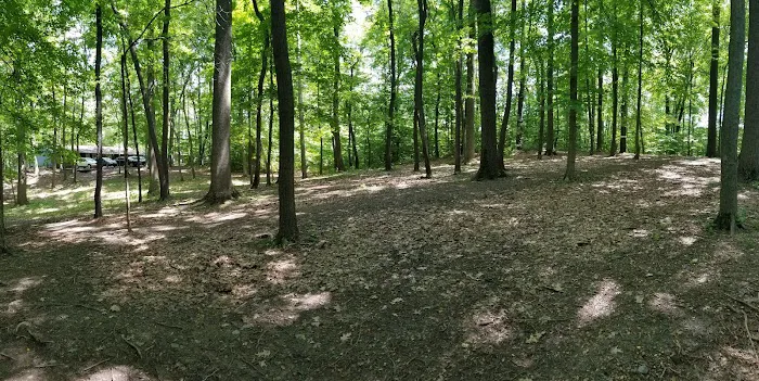 Life Action Camp Picture 10
