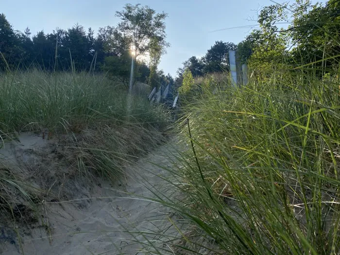 Covert Park Beach & Campground Picture 6