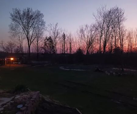 A Waggin' Good Time At Mellow Acres