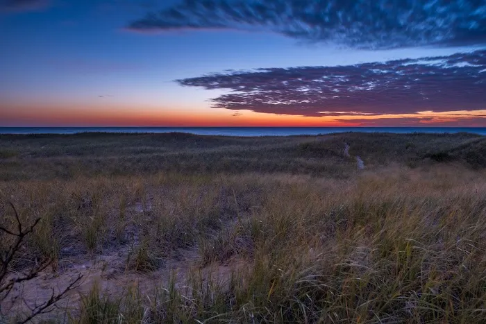 Holland State Park Beach Campground Picture 6