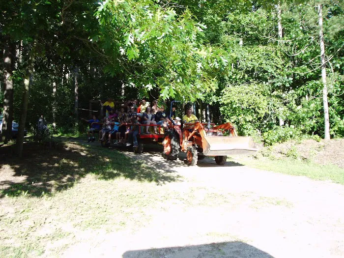 Allendale / West Grand Rapids KOA Holiday Picture 10