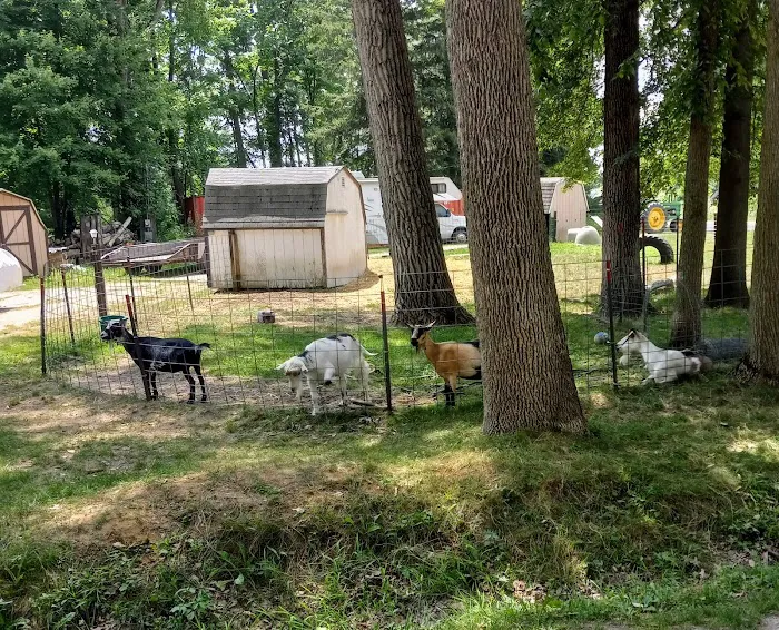 River Pines RV Park Campground Picture 3