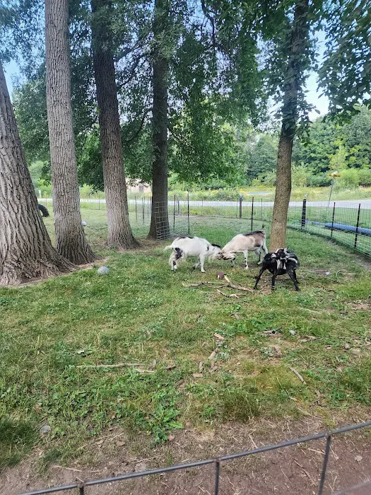 River Pines RV Park Campground Picture 9