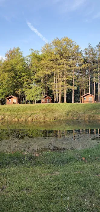 River Pines RV Park Campground Picture 7