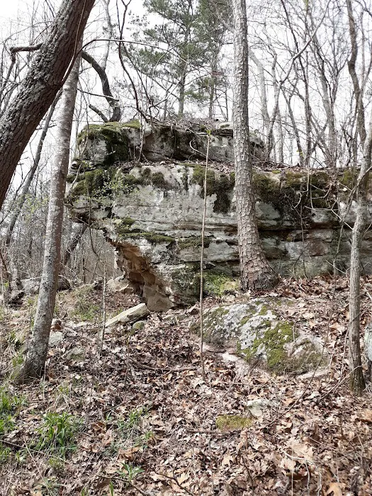 Whippoorwill Creek Ranch Picture 9