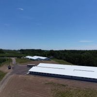 Campo Manzana ico