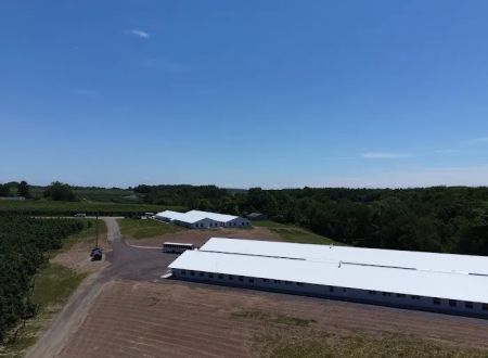 Campo Manzana